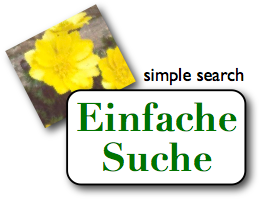 Einfache Suche (grafisch)